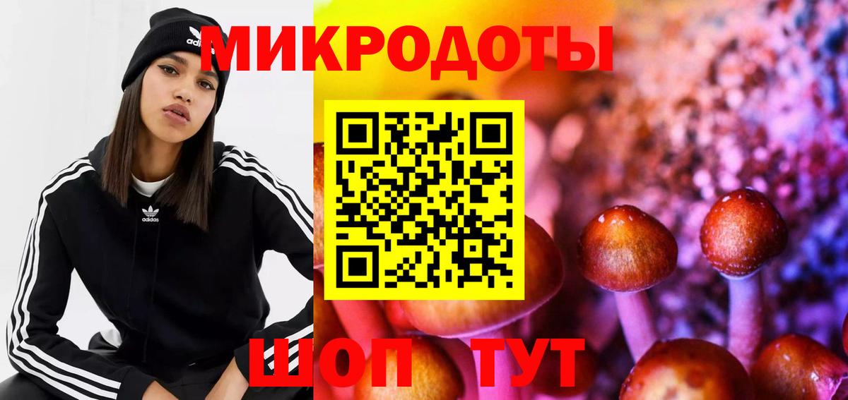 Галлюциногенные грибы MAGIC MUSHROOMS  Галлюциногенные грибы MAGIC MUSHROOMS  Вход с VPN  Унеча 